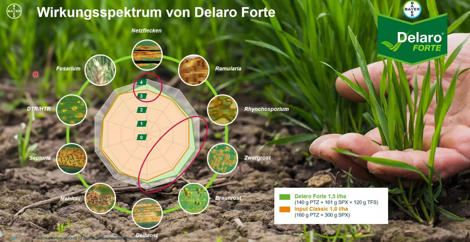 Wirkung vom Getreide-Fungizid Delaro Forte