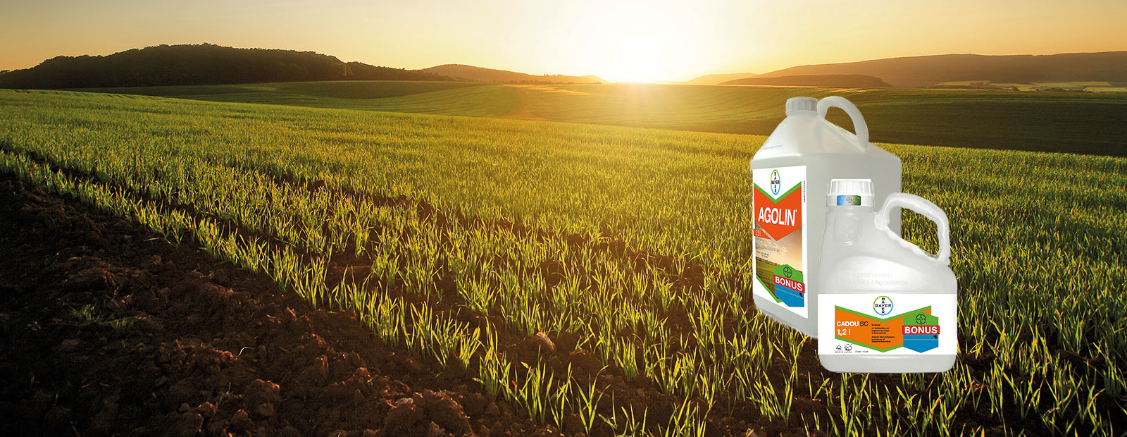 Herbstherbizide 2020 - Agolin Forte und Cadou Pro Pack