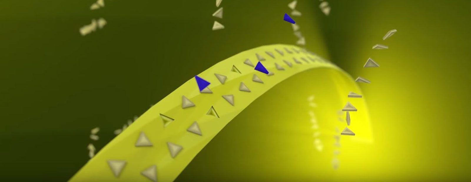 Video: Wie wirken Herbizide?