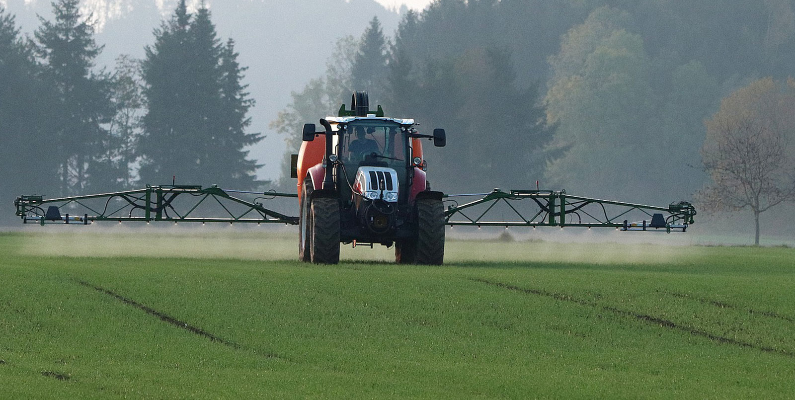 Herbizideinsatz im Herbst